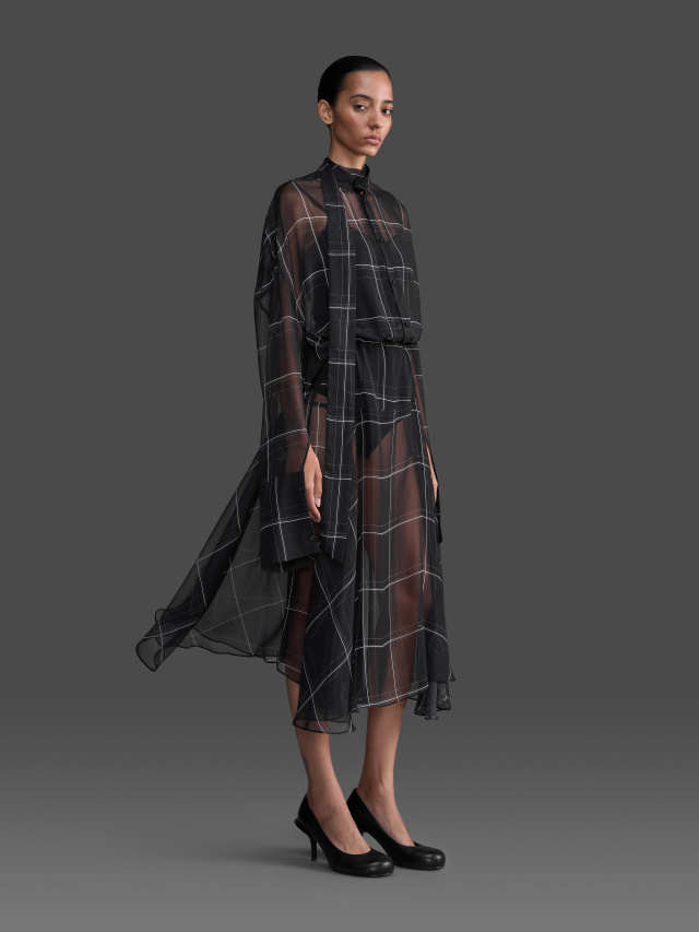 Transformer Dress in Chiffon
