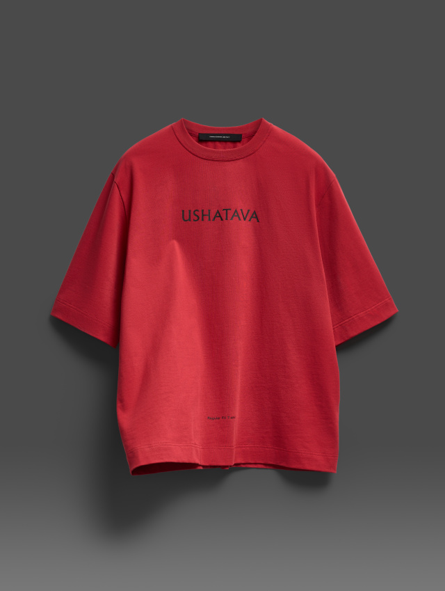 Футболка Regular Fit print